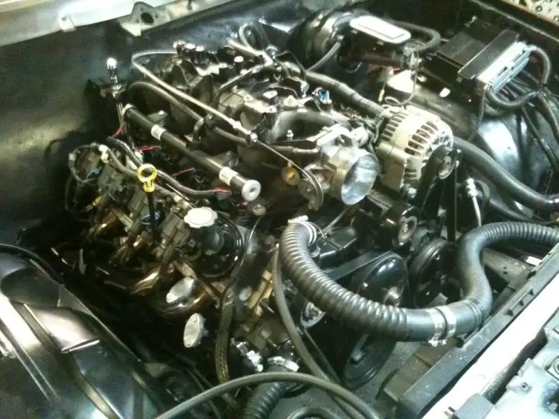 9973f389.jpg