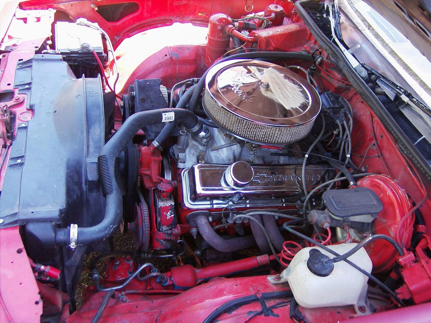 underhood1.jpg