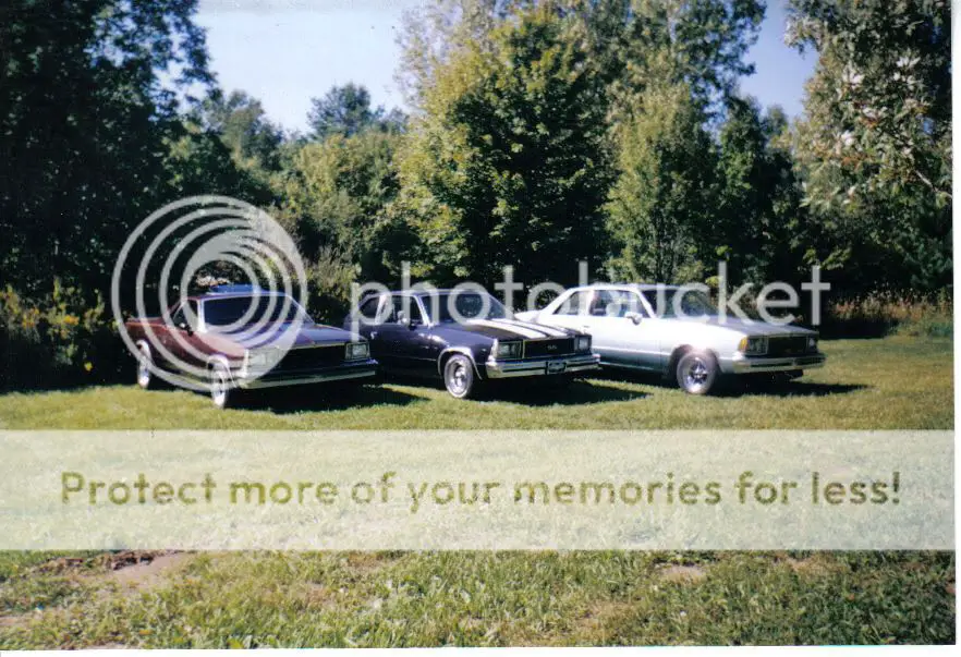 78elcamino81SSlightblue79.jpg