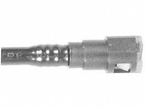 31WGLOH%2BVCL._SL500_.jpg