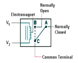 Picture1.jpg