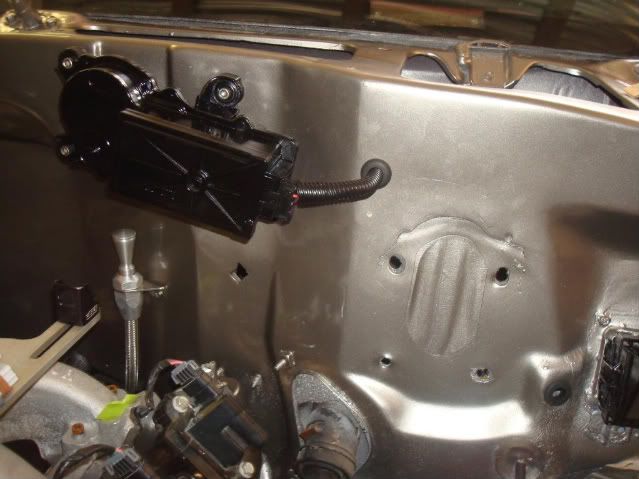 DSC04988.jpg