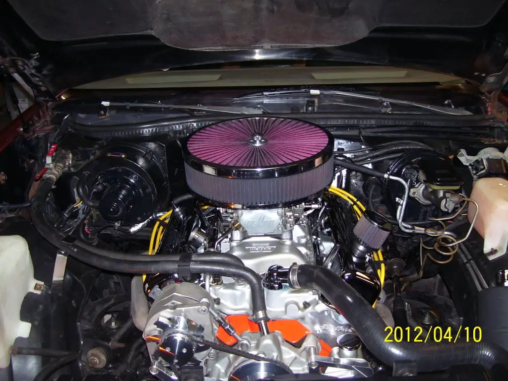 allmypics738.jpg
