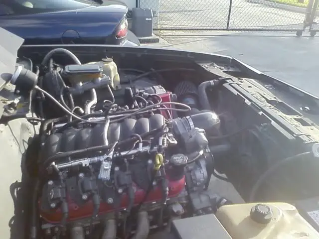 1257640680249imagejpeg_2.jpg