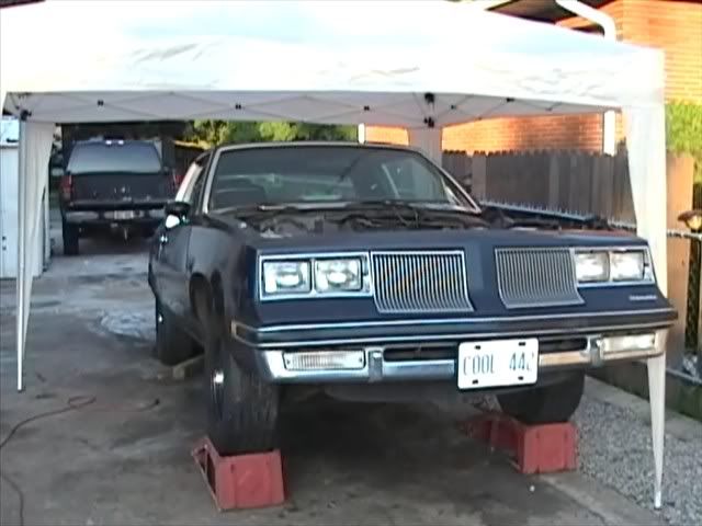 COOL442T5-FRONTVIEW2.jpg