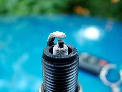 plug6.jpg