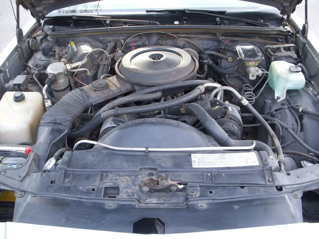 DSCN1692.jpg