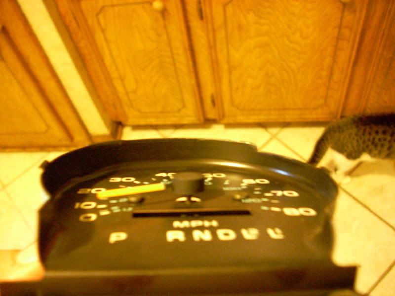 DSCN1265.jpg