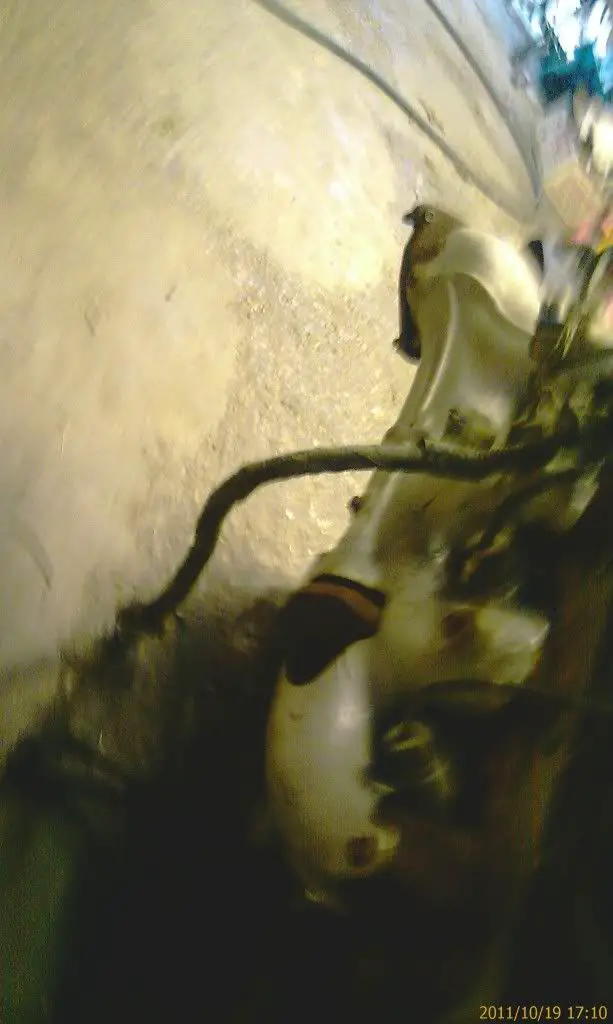 201110191710_IMAG0324.jpg