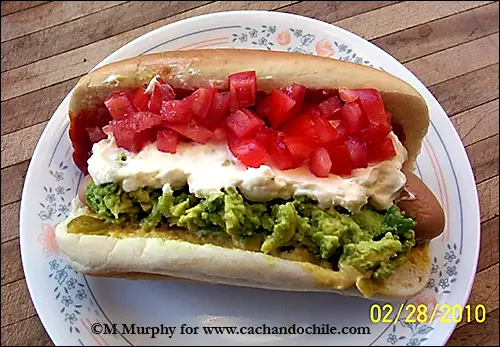 chilean-hotdog-completo-italiano-4b.jpg
